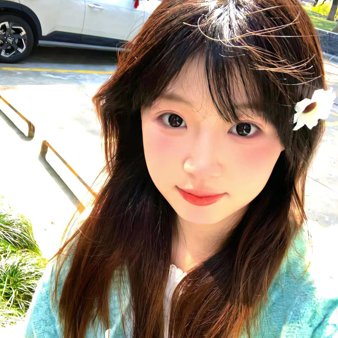 母亲的树